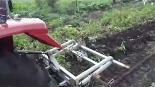 Выращивание семенного картофеля (видео) смотреть онлайн