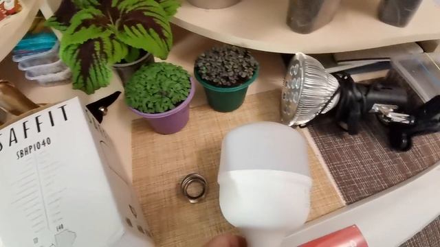 Какие лампы для рассады использую? Как выбрать лампу и не ошибиться. Внимательно изучаем этикетки смотреть онлайн