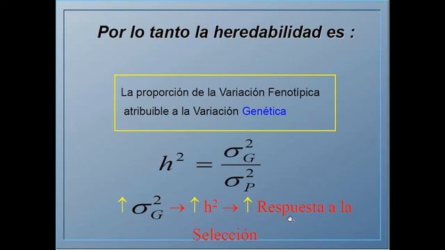 clase 22 MG grupo BD miércoles 25 05 2022 teoría capitulo 9 смотреть онлайн