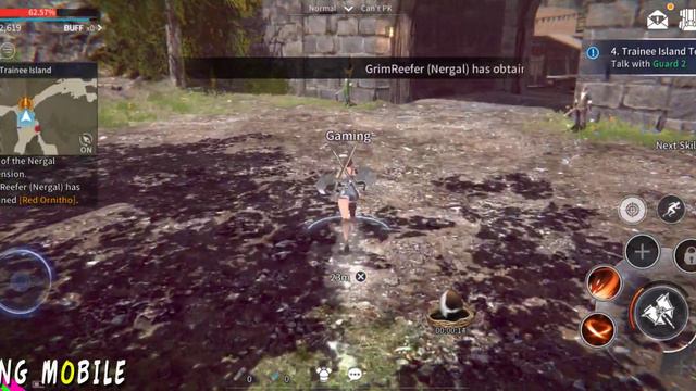 Rappelz Online - MMORPG Gameplay (Android/IOS)