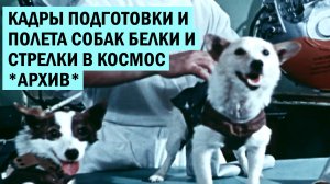 Кадры подготовки и полета собак Белки и Стрелки в космос *АРХИВ*