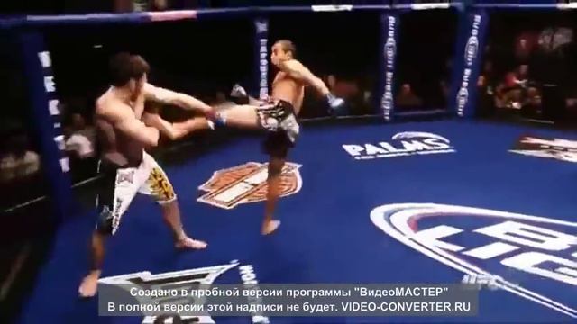 Jose Aldo -  Жозе Алду MMA Highlights UFC