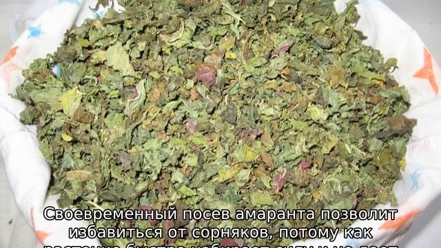 Ремонтные Революции