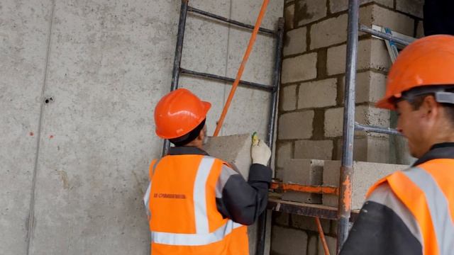 Динамика строительства TALLER (Август 2023)