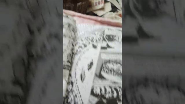 Обзор на книгу Коты Воители Бич путь к власти смотреть онлайн