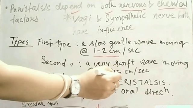 Amazing body facts #Peristalsis, how food propagate through GIT, #NEET2022, peristaltic movement смотреть онлайн