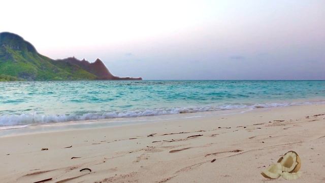 Hawaiian Music & Hawaiian Music Ukulele: Isle Of Aloha FULL ALBUM Of Hawaiian Music For Hula Dancin