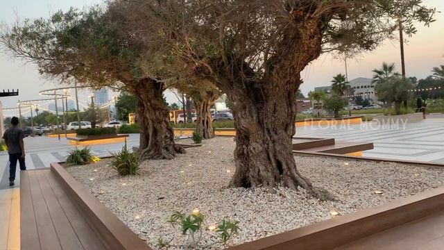 Umbrella Beach, Fujairah | Newly Opened Beach In Fujairah | Fujairah Beach-UAE