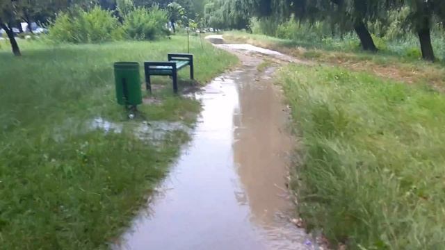 Calea iesilor, parcul la izvor după ploaie, смотреть онлайн