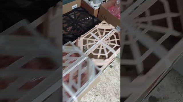 Свежесрезанные розы Россия [2]