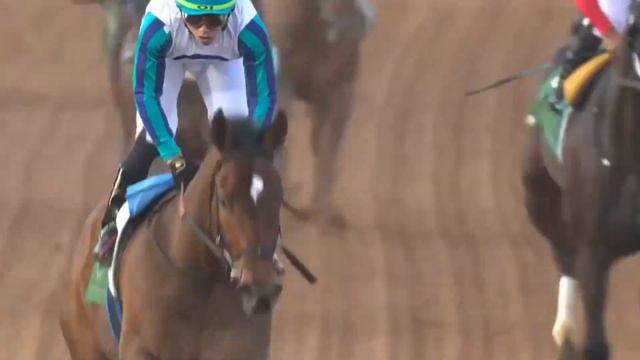 Forever Young Wins The Saudi Derby, Remains Unbeaten - Unofficial Derby Prep - 2/24/24 смотреть онлайн