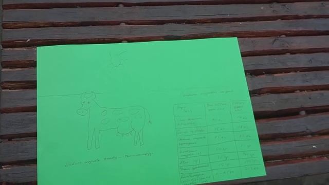 Коровьи приметы и заговоры. Рацион коровы на день по Госту. смотреть онлайн