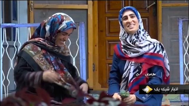 Iran Danial Village, Abas-Abad County, Violets Greenhouse گلخانه بنفشه روستاي دانيال عباس آباد