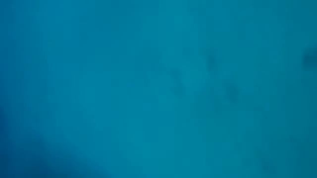 Как утонула камера Фуджи FinePix XP60 смотреть онлайн