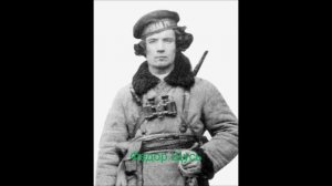 Повстанческие армии или "Третья сила"