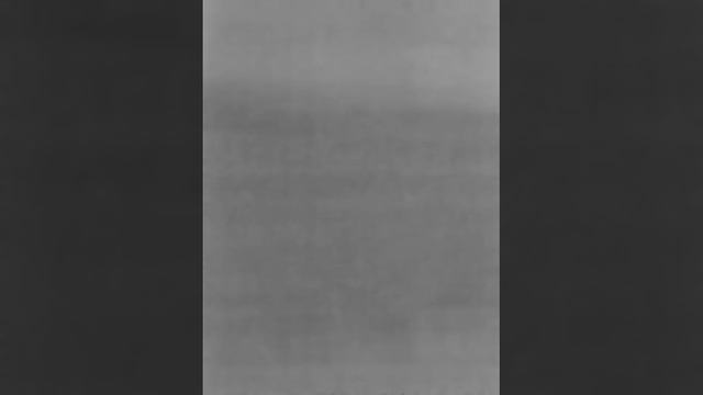 Seek thermal XR deer at 100 yds смотреть онлайн