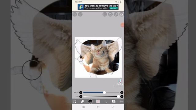 симба я люблю тебя смотреть онлайн