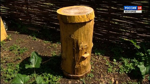 Программа «Агробизнес» от 14 августа 2019 года