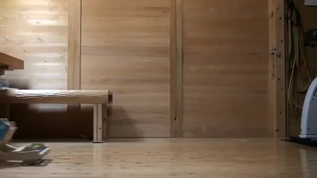 Хозяйственный котяра