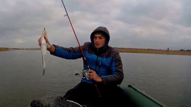 Ловим судака 21 октября 2017 г. смотреть онлайн