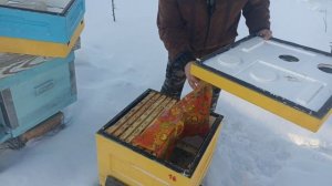 Доработка вентиляции в улье ППС. Пчеловодство!