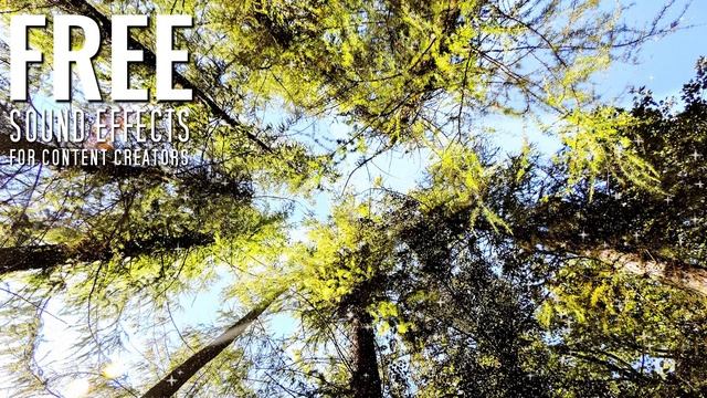 Trence Musik Zum Entspannen, Trance Entspannung ?? [No Copyright Music]