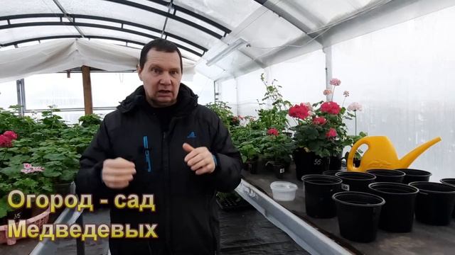 Готовимся к рассадному периоду смотреть онлайн