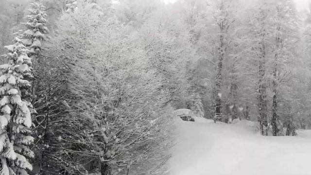 Sochi (Russia) смотреть онлайн