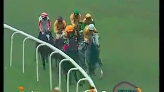 The Asaf Jah Vii Memorial Cup Winner DURANGO смотреть онлайн