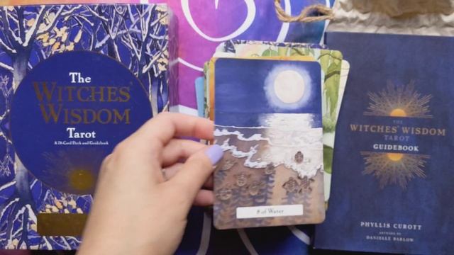 The Witches' Wisdom Tarot - Silent Flip-through смотреть онлайн