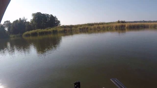 Рыбалка на хищника в селе Орлик сентябырь 2018 смотреть онлайн