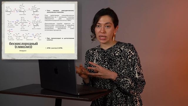 Полная информация об Энергетическом обмене к ОГЭ и ЕГЭ по Биологии. Понятное объяснение смотреть онлайн