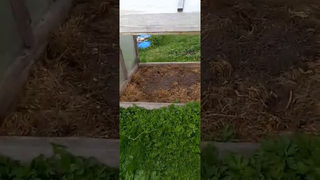 Обзор огорода на 15.09.22г. смотреть онлайн