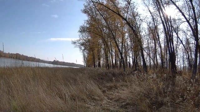 Вода падает день за днём#куда уходит рыба? | Нахлыст на Енисее смотреть онлайн