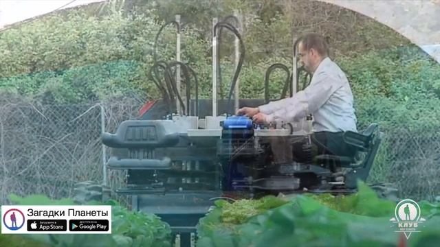 Высокотехнологичный сбор морковки и не только