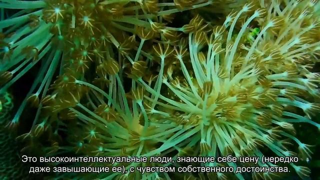 Значение имени Ясон. Толкование, судьба, характер смотреть онлайн