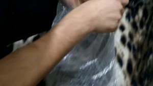 Распаковка брызговики Volkswage Passat Cc