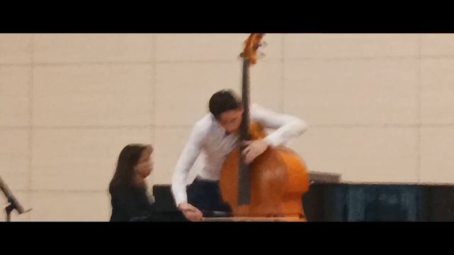 V. Pichl Double Bass Concerto In C Major (1rd & 3rd Movement) смотреть онлайн