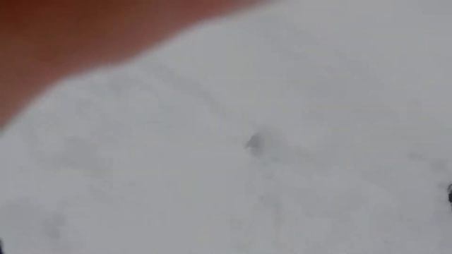 snowday1 смотреть онлайн