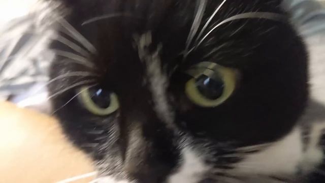 Строительные Чудеса