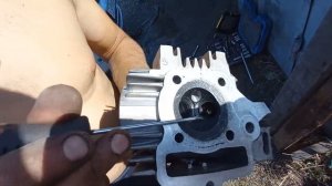 Почему Альфа чихает? Ответ на вопрос прост