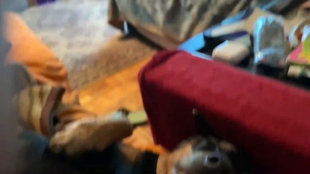 Цвергпинчер смотреть онлайн