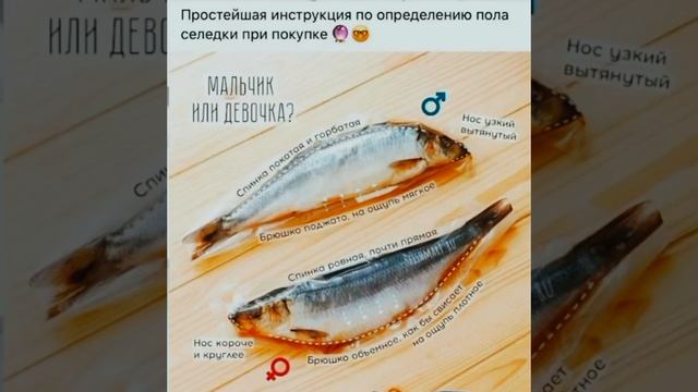 Как легко определить пол селёдки?#полезныесоветы #селёдка#хозяйкеназаметку смотреть онлайн