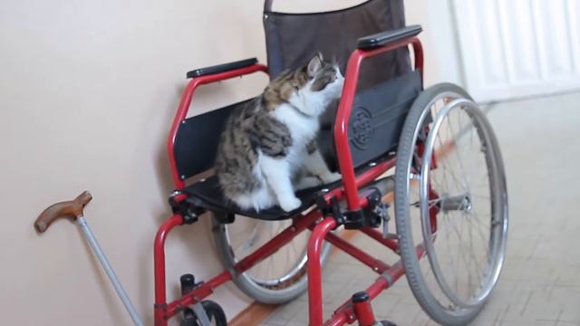 Жизнь с чистого листа смотреть онлайн