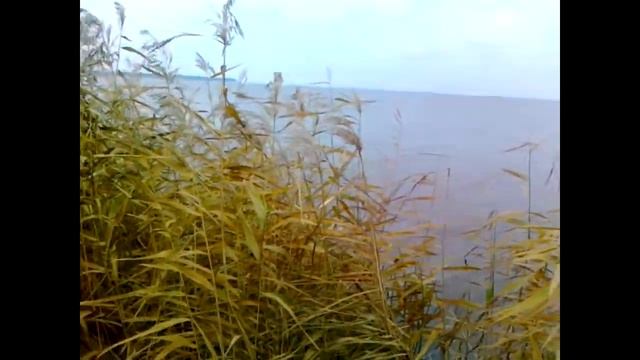 Utki2.m2t смотреть онлайн