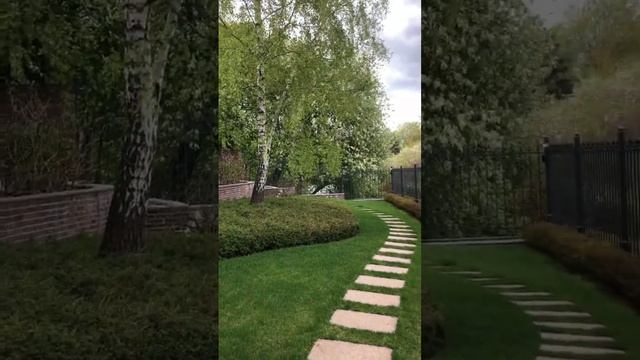 Холмики из стефанандры и потрясающее цветение черемухи смотреть онлайн