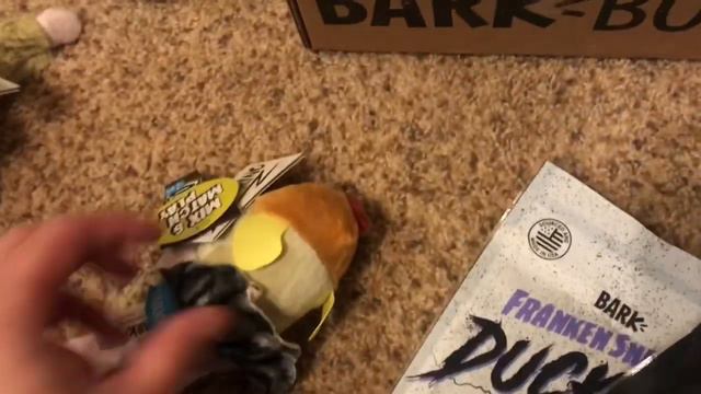 Charlie the Pug Dog Opens His October BarkBox! смотреть онлайн
