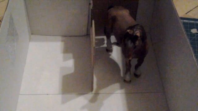 Как сделать конюшню для шляйх смотреть онлайн