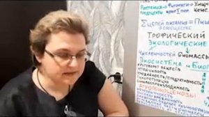 Экосистемы. Структура экосистем