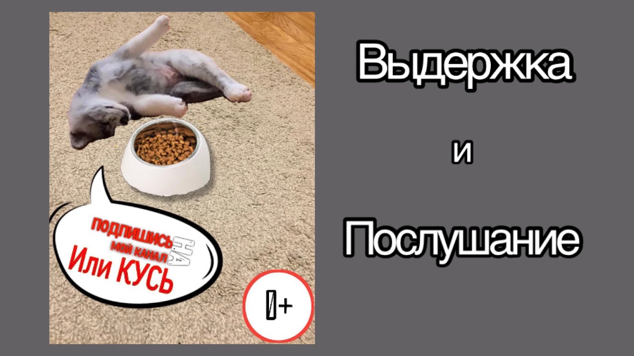 Выдержка смотреть онлайн